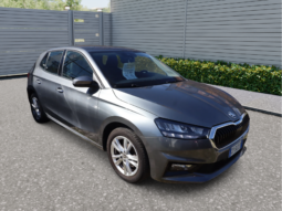 
										SKODA FABIA 1.0CC TSI 80CV SELECTION full									