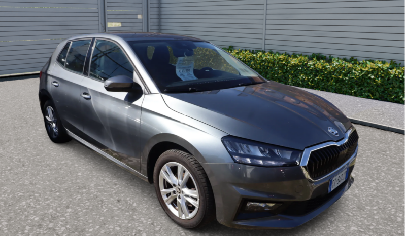 
								SKODA FABIA 1.0CC TSI 80CV SELECTION full									