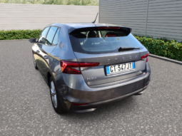 
										SKODA FABIA 1.0CC TSI 80CV SELECTION full									